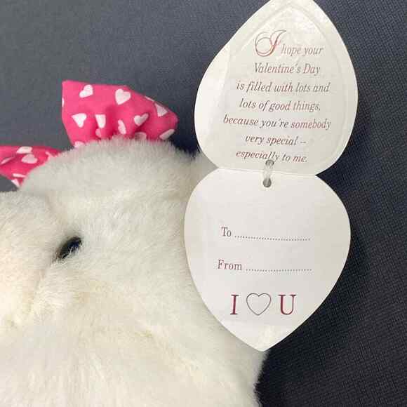 VTG Valentine Teddy Bear Plush Stuffed Animal White Pink Hearts Skirt 12" New - Picture 7 of 12